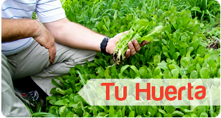 Tu Huerta